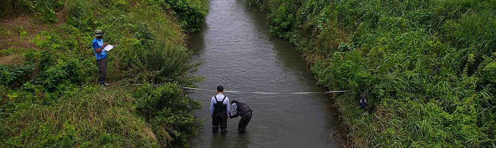 measuring a river